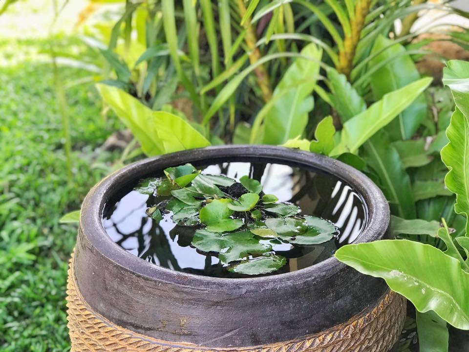 Verona Lanta Resort Ko Lanta Exteriör bild